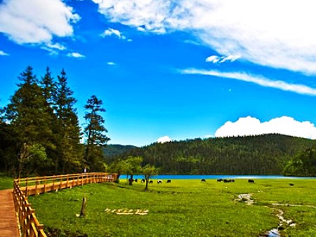 普達(dá)措國家公園.jpg