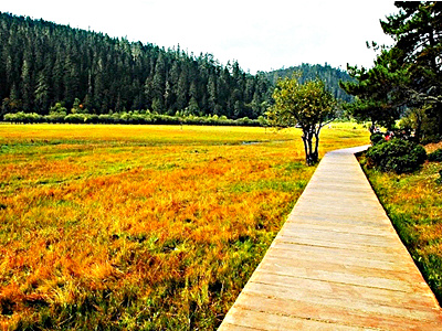 普達(dá)措國家公園-徒步.jpg