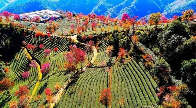 2021，等一個(gè)人陪我去大理