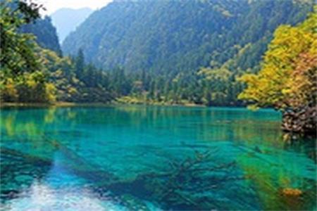九寨歸來不看水”，是對九寨溝景色真實的詮釋。