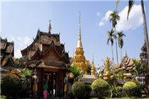 向往的旅行，始于西雙版納
