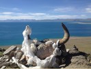 阿里A線：西藏阿里大北線“13日游”＜轉(zhuǎn)神山圣湖，穿越諸神景仰的圣地?。?></a></dt>
								<dd>
									<h3><a title=
